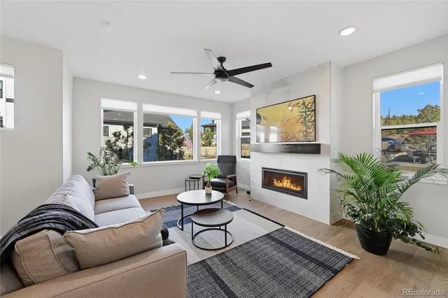 a living room with furniture potted plant and a fireplace