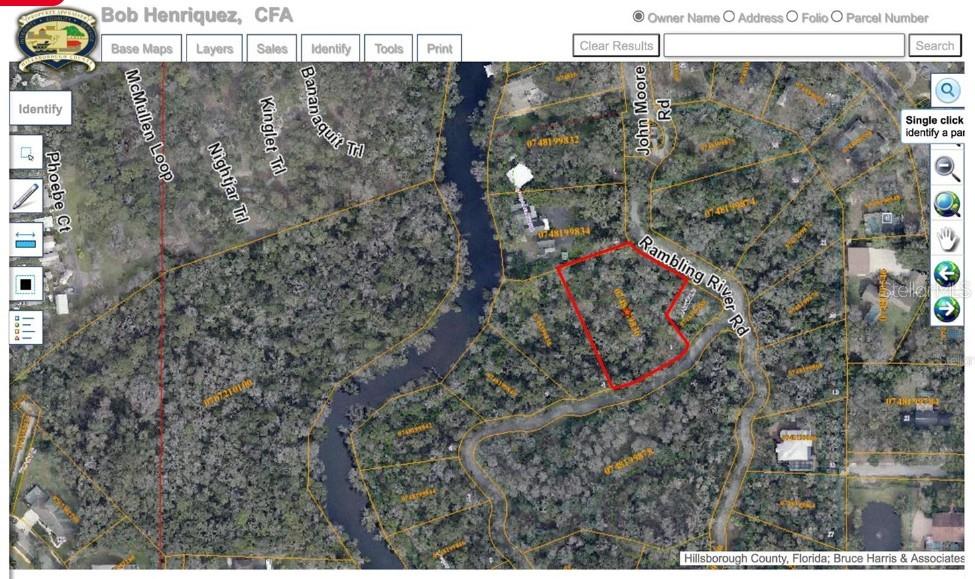 4876 Rambling River Road Brandon, FL 33511 - Photo 5 of 10 a bird view of a forest