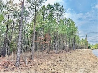 48 Ranches At Hickory Ridge Dover, TN 37058 - Photo 2 of 9 a view of a yard with plants and trees