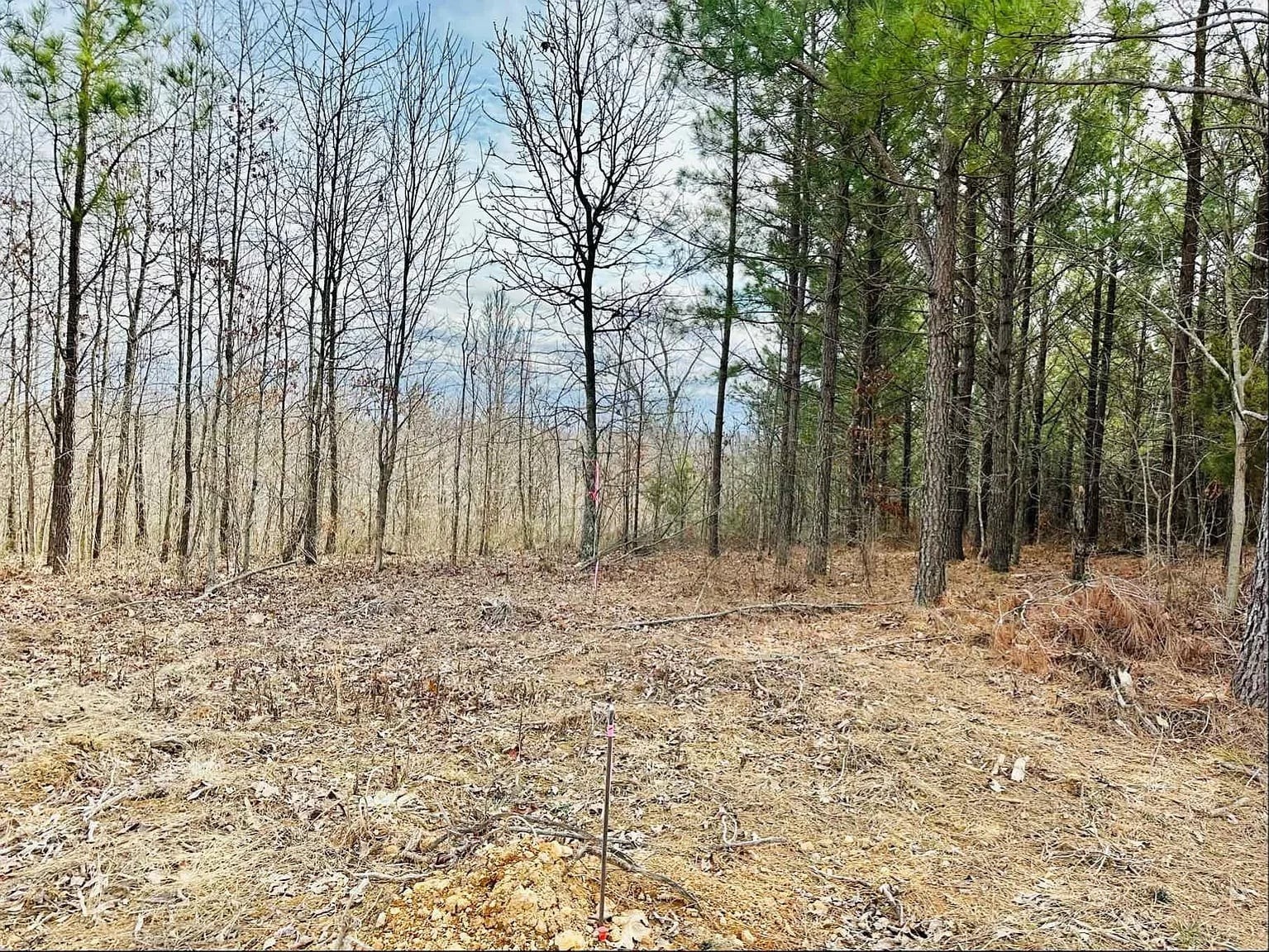 48 Ranches At Hickory Ridge Dover, TN 37058 - Photo 5 of 9 a view of a backyard with large trees