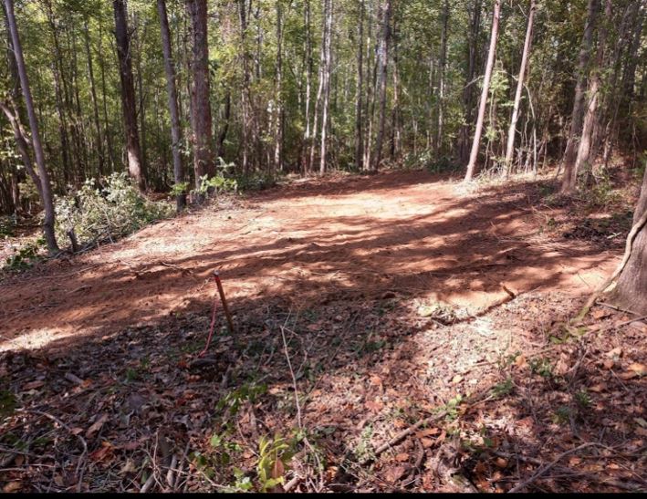 Long Branch Road Enoree, SC 29335 - Photo 1 of 3