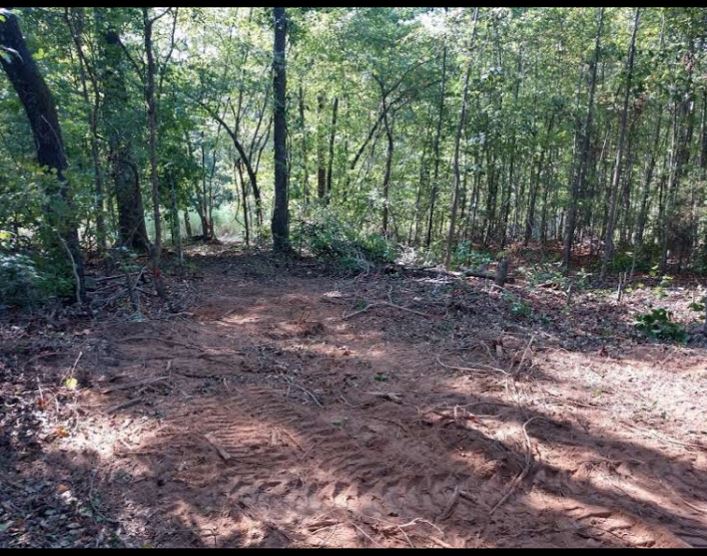 Long Branch Road Enoree, SC 29335 - Photo 3 of 3