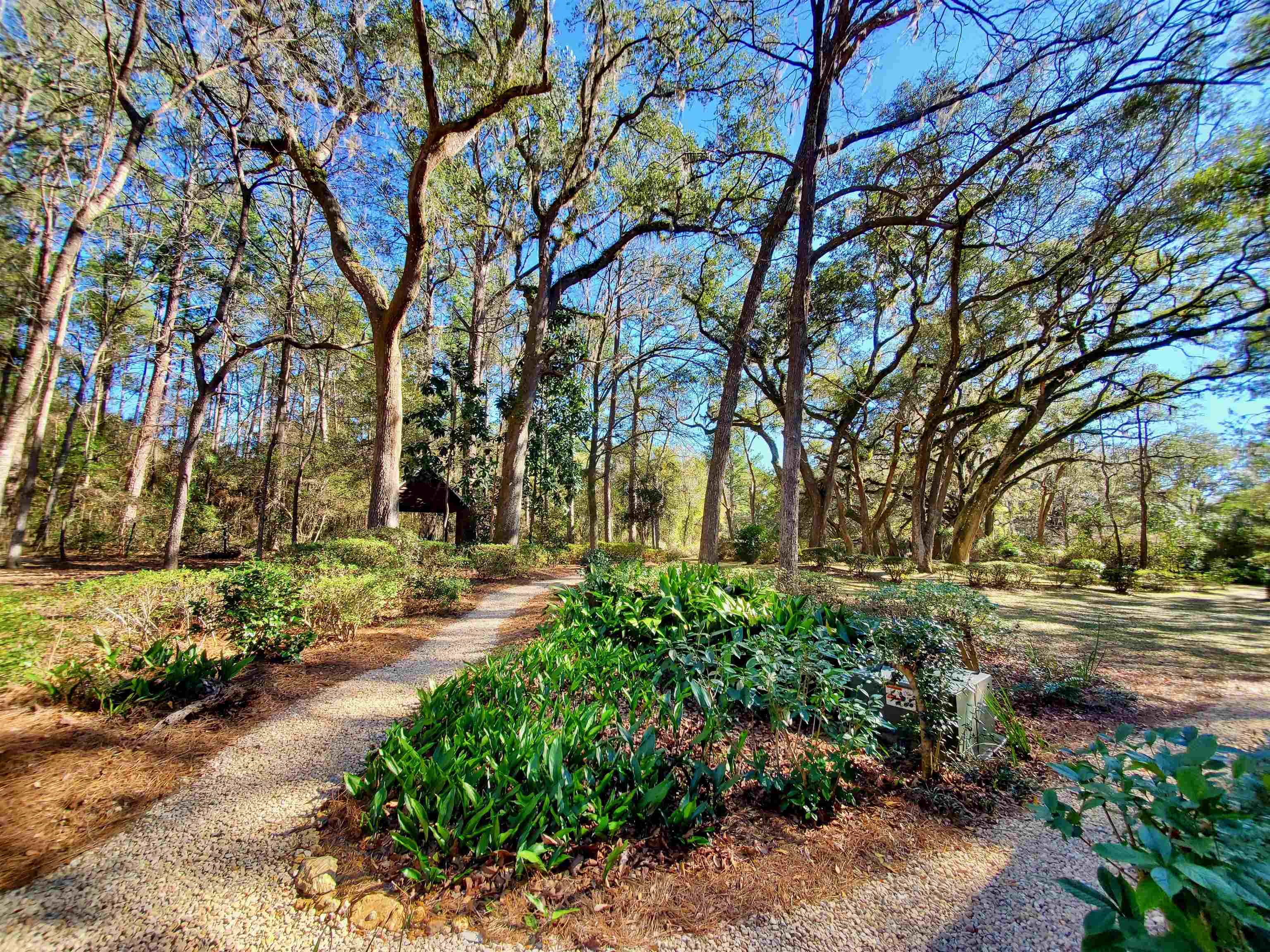 4857 Quail Valley Road Tallahassee, FL 32309 - Photo 8 of 42 Gallery Image 8