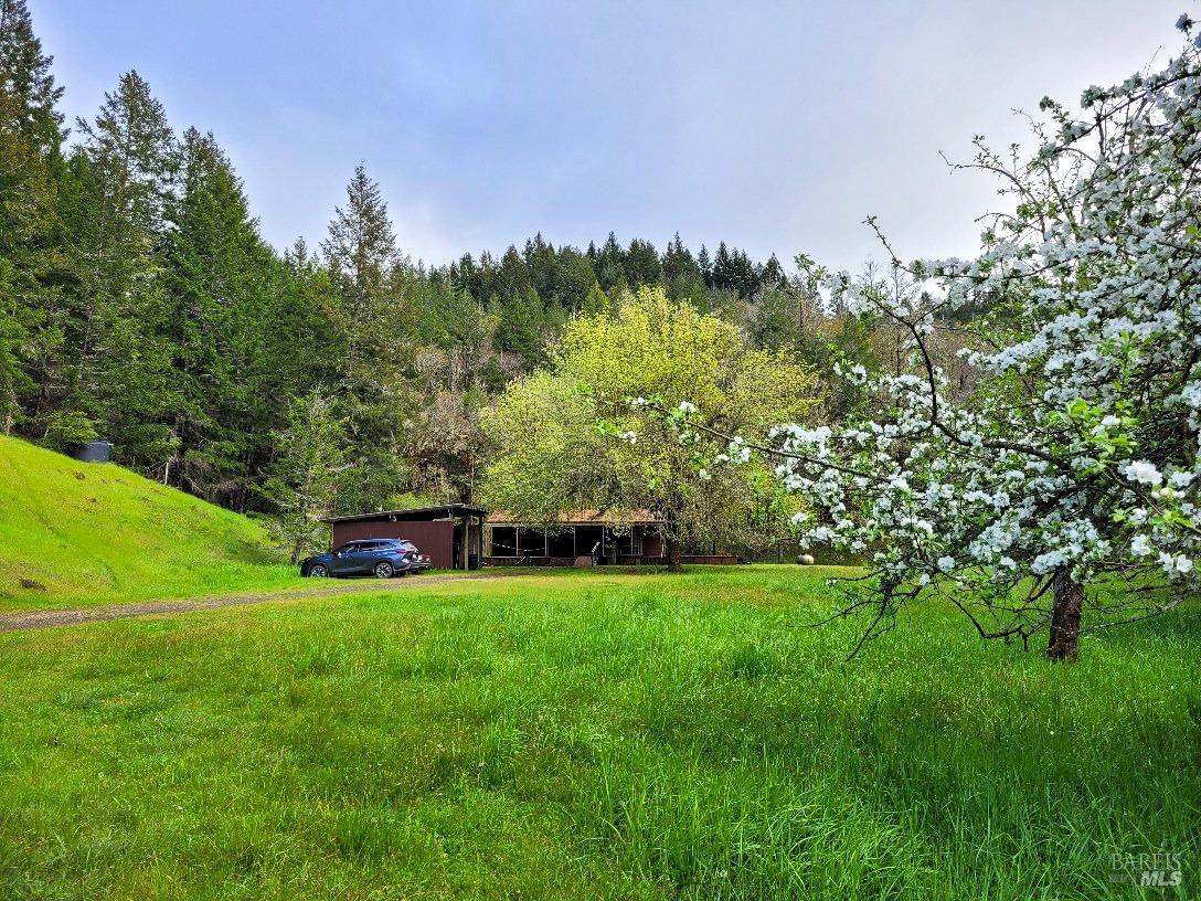 4501 Muir Mill Road Willits, CA 95490 - Photo 1 of 1 a view of a park with large trees