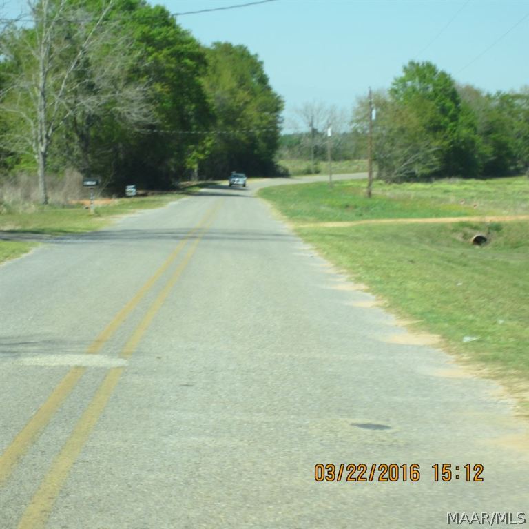 0 Austin Road Black, AL 36314 - Photo 2 of 5 Gallery Image 2
