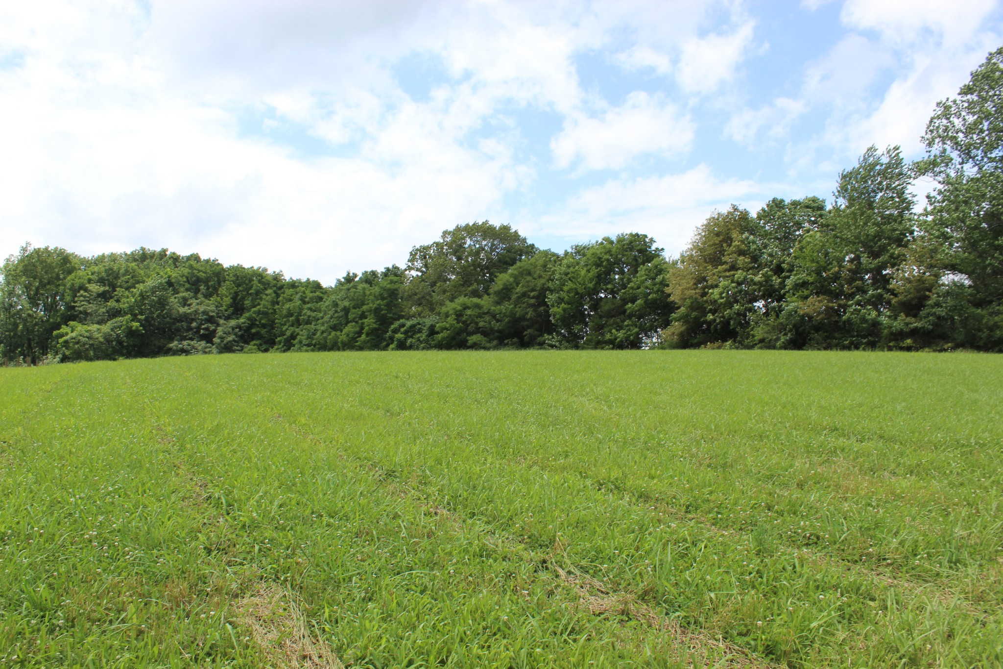0 Sainville Road Manchester, TN 37355 - Photo 2 of 9 a view of a green field with wooden fence