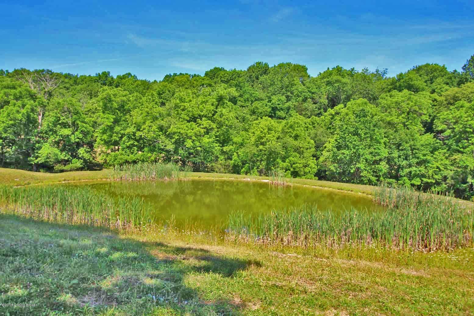 3664 Mink Run Road Frankfort, KY 40601 - Photo 65 of 84 Pond