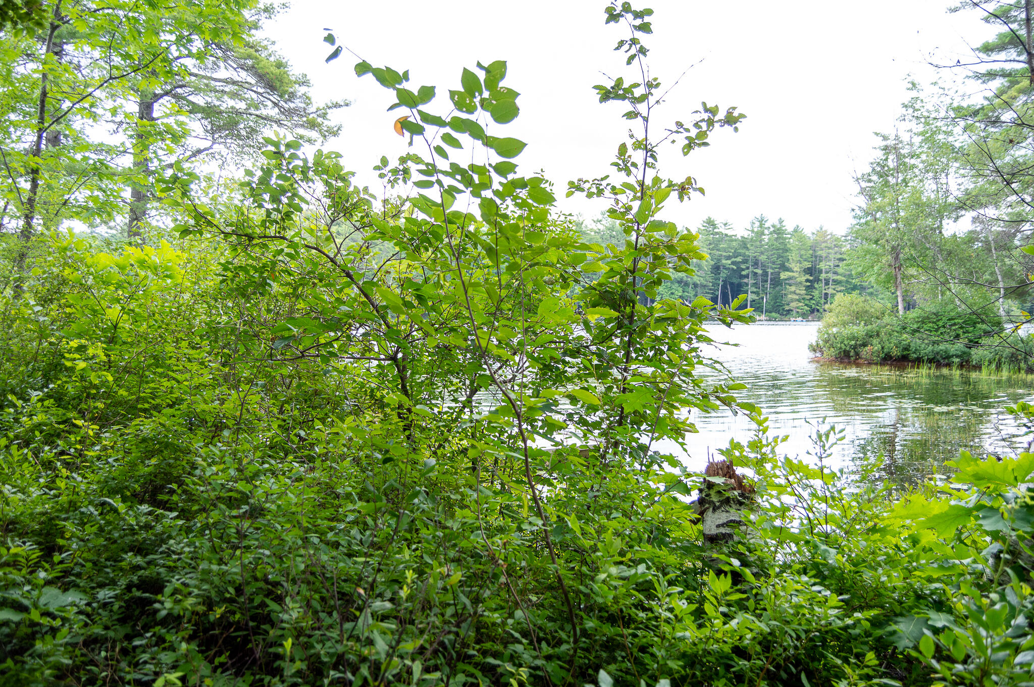 287 Mountain Road Denmark, ME 04022 - Photo 20 of 46 DSC_0079 - Copy