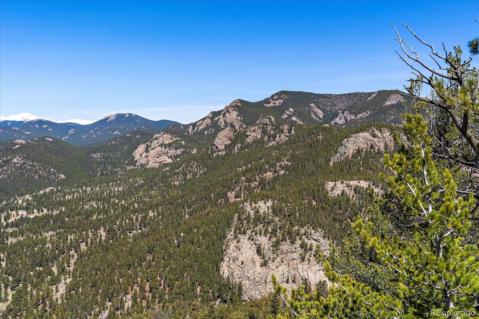 31545 Pike View Drive Conifer, CO 80433 - Photo 11 of 32