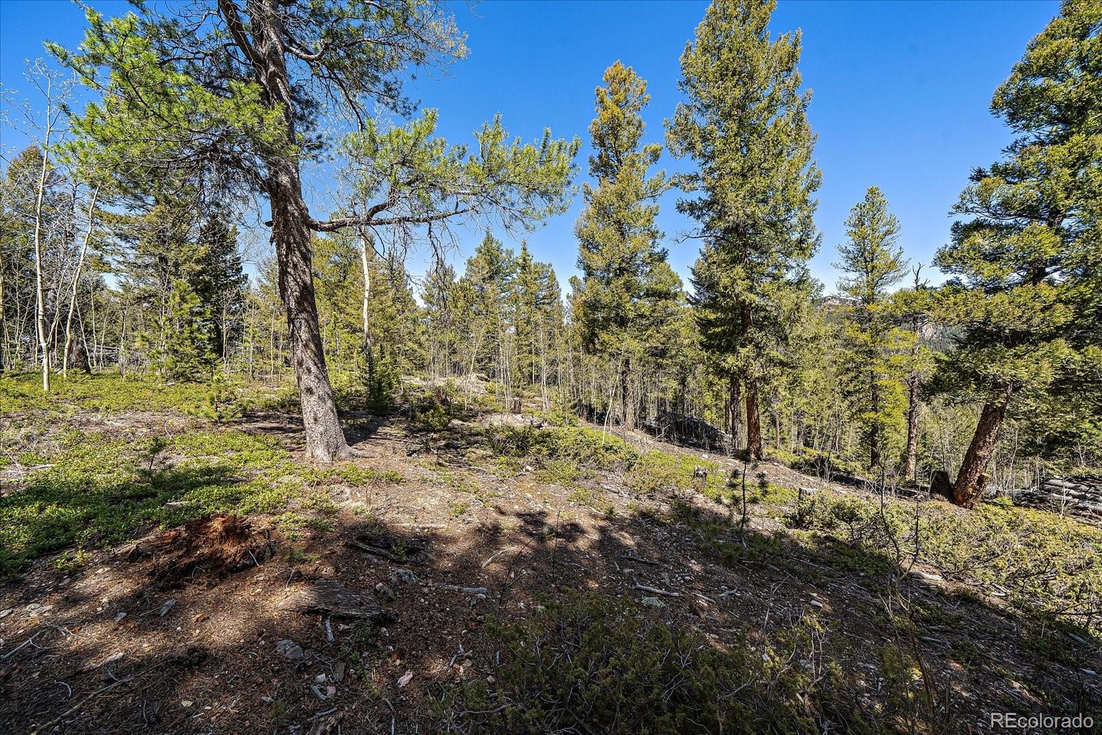 31545 Pike View Drive Conifer, CO 80433 - Photo 15 of 32