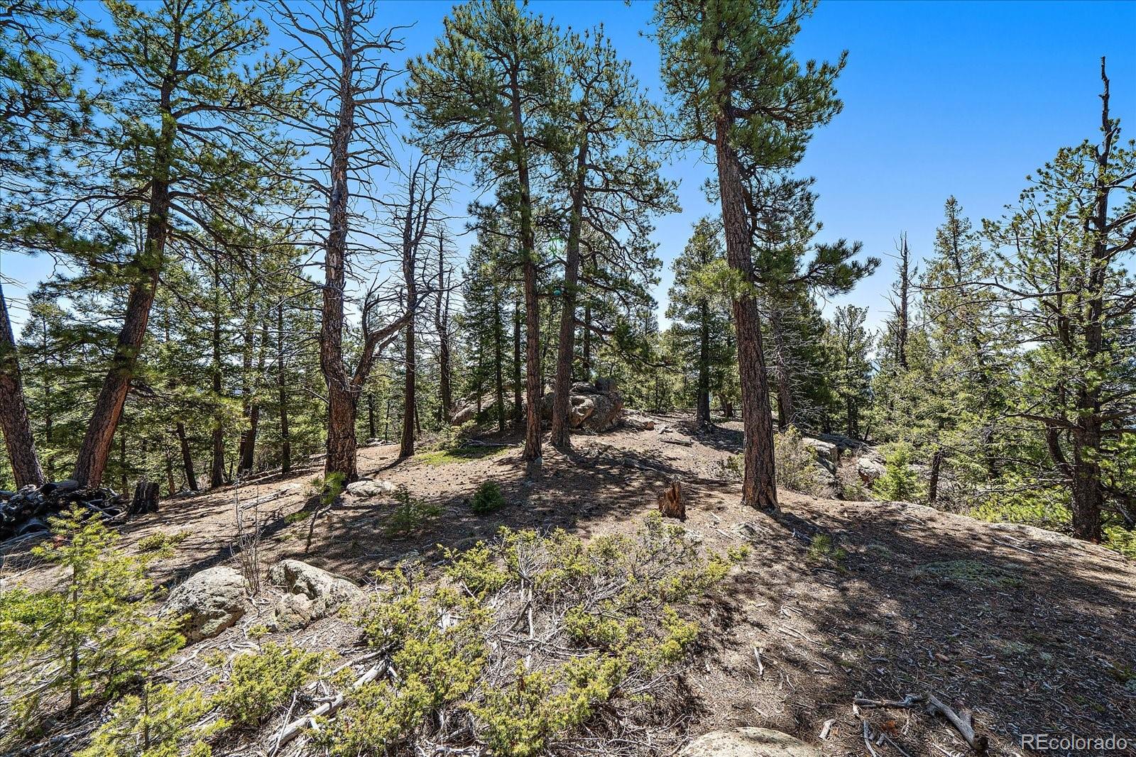 31545 Pike View Drive Conifer, CO 80433 - Photo 17 of 32