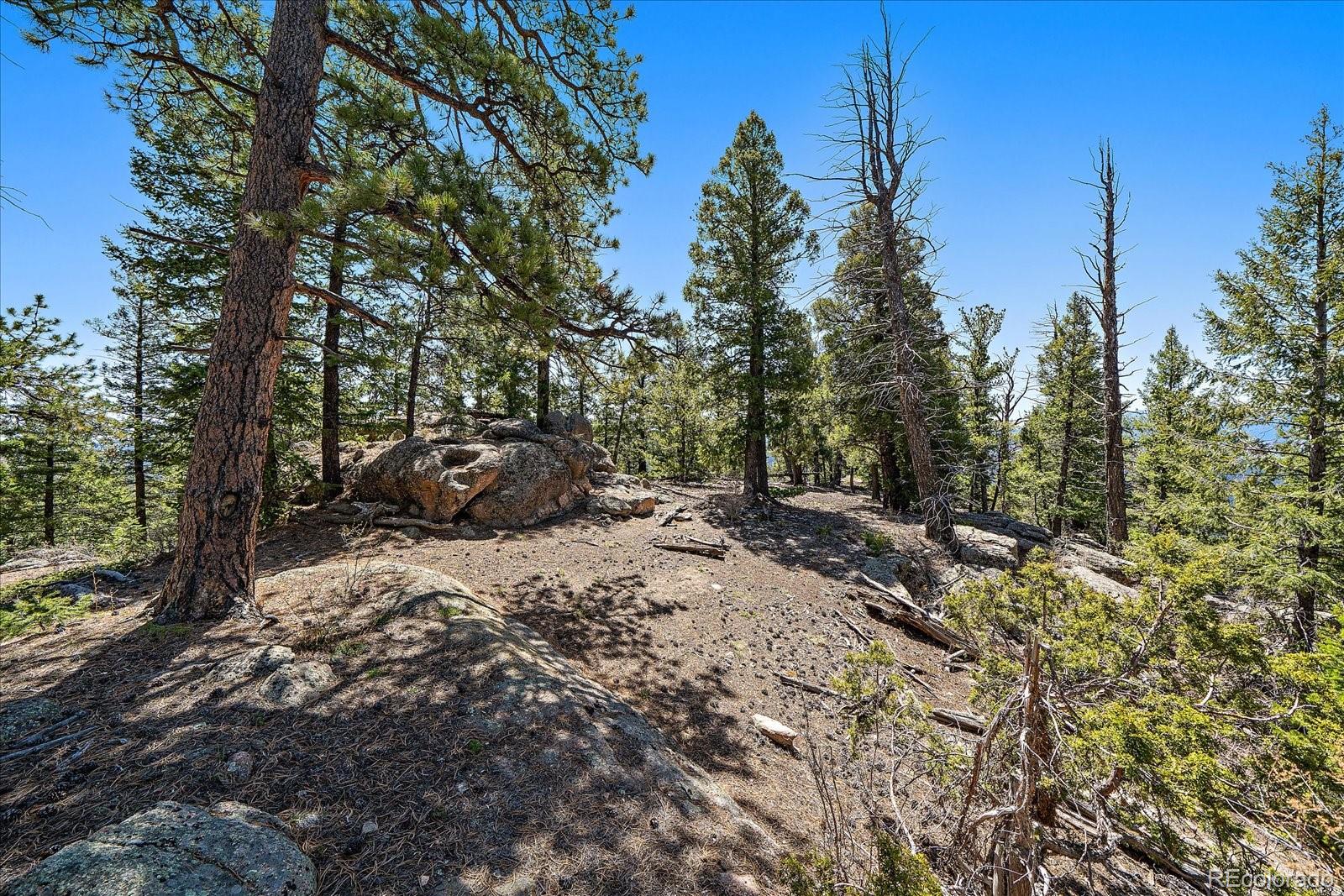 31545 Pike View Drive Conifer, CO 80433 - Photo 18 of 32