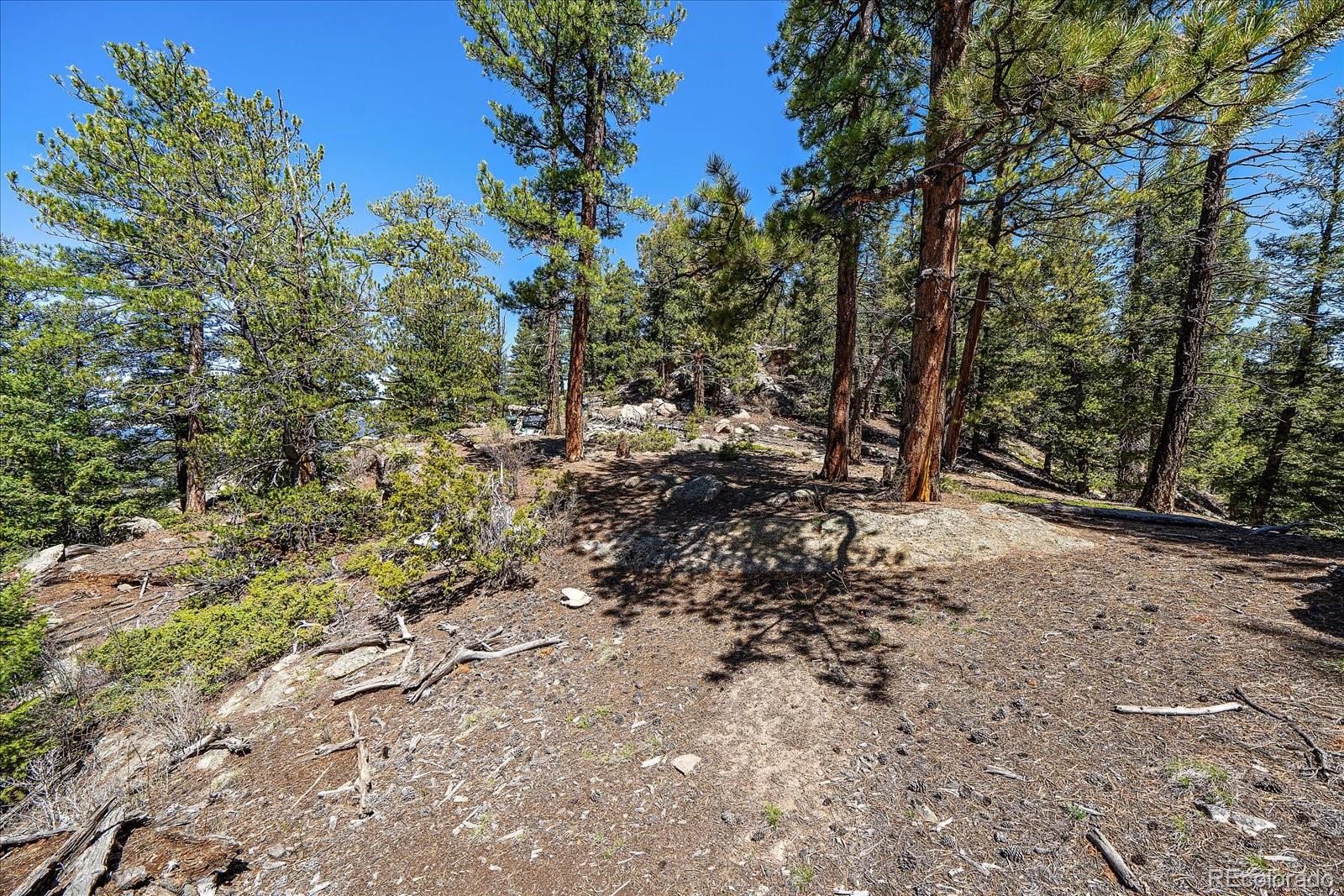 31545 Pike View Drive Conifer, CO 80433 - Photo 19 of 32