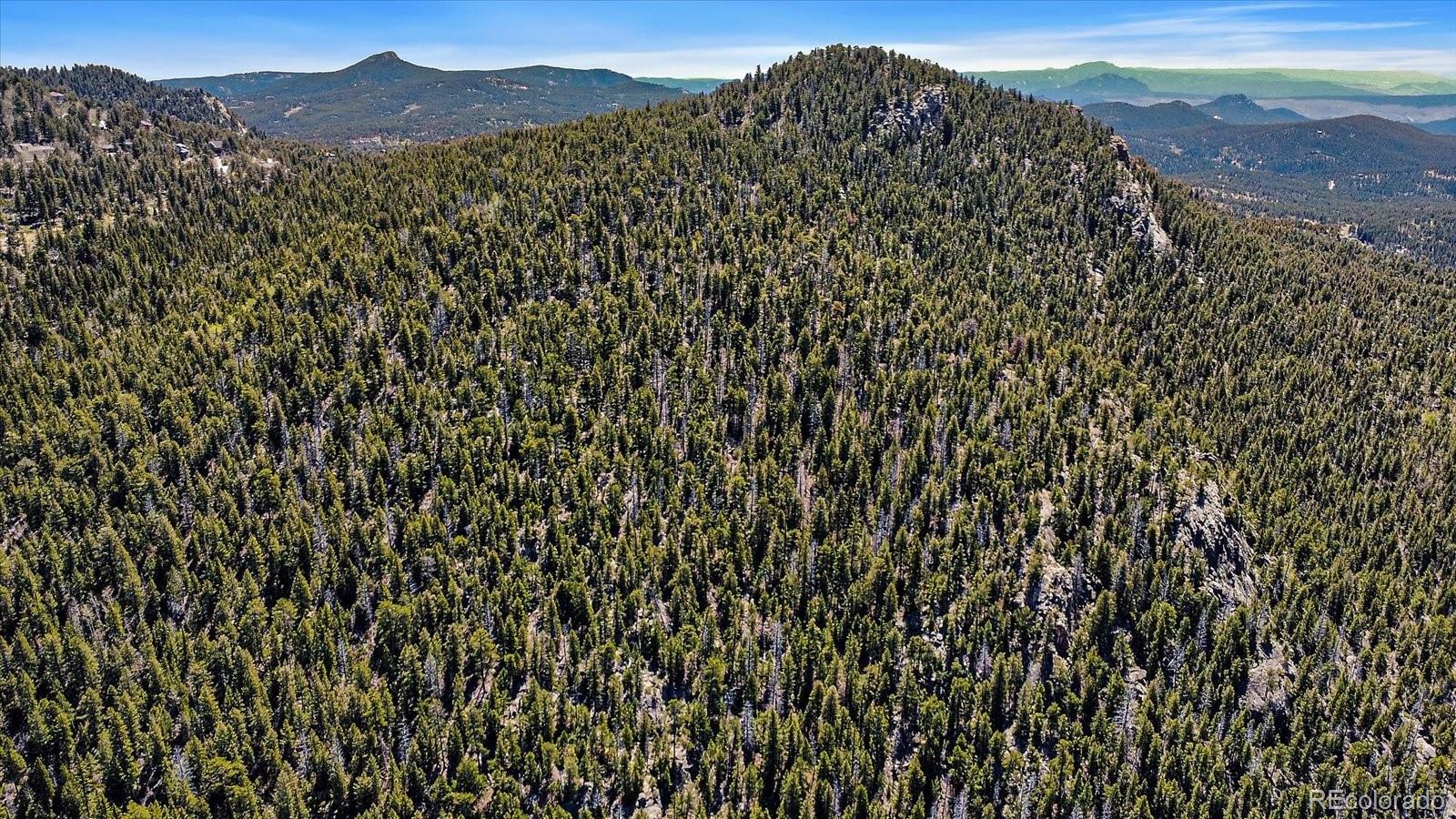 31545 Pike View Drive Conifer, CO 80433 - Photo 27 of 32