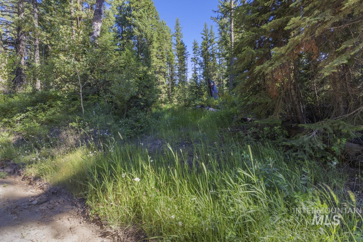 2 Arling Trail Cascade, ID 83611 - Photo 11 of 15 Old Roughed In Driveway
