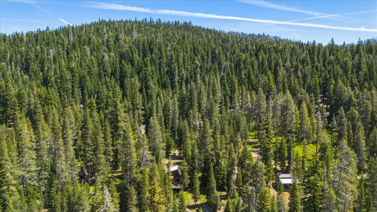 11 Clark Station Calpine, CA 96124 - Photo 22 of 24
