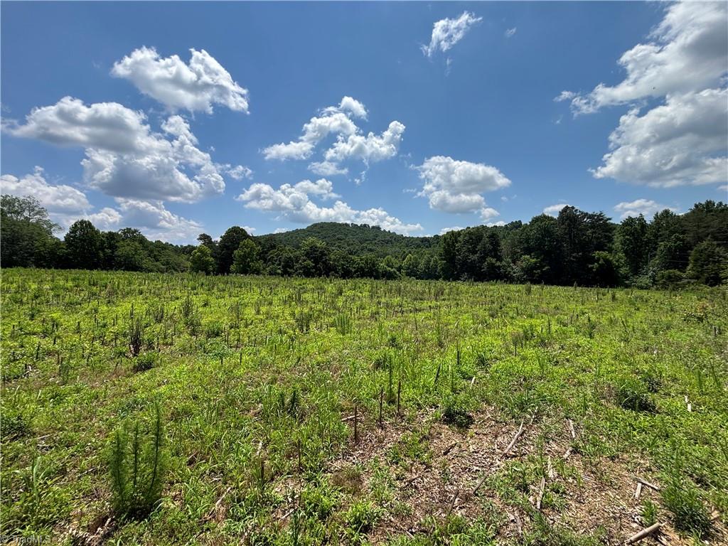 0 Brookhaven Road Statesville, NC 28625 - Photo 4 of 14