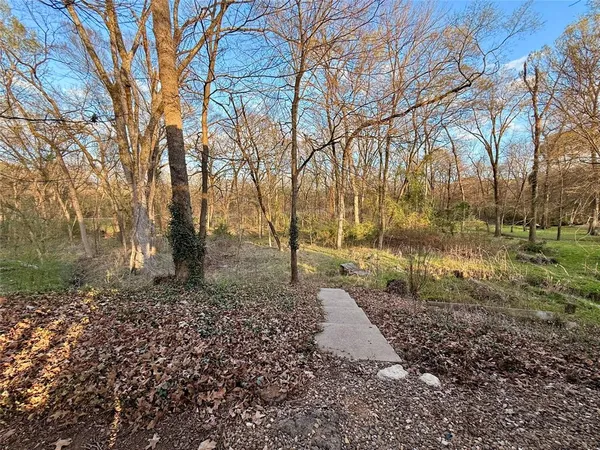 a view of a yard with trees