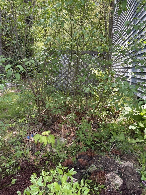 16 Clark Street Belchertown, MA 01007 - Photo 8 of 23