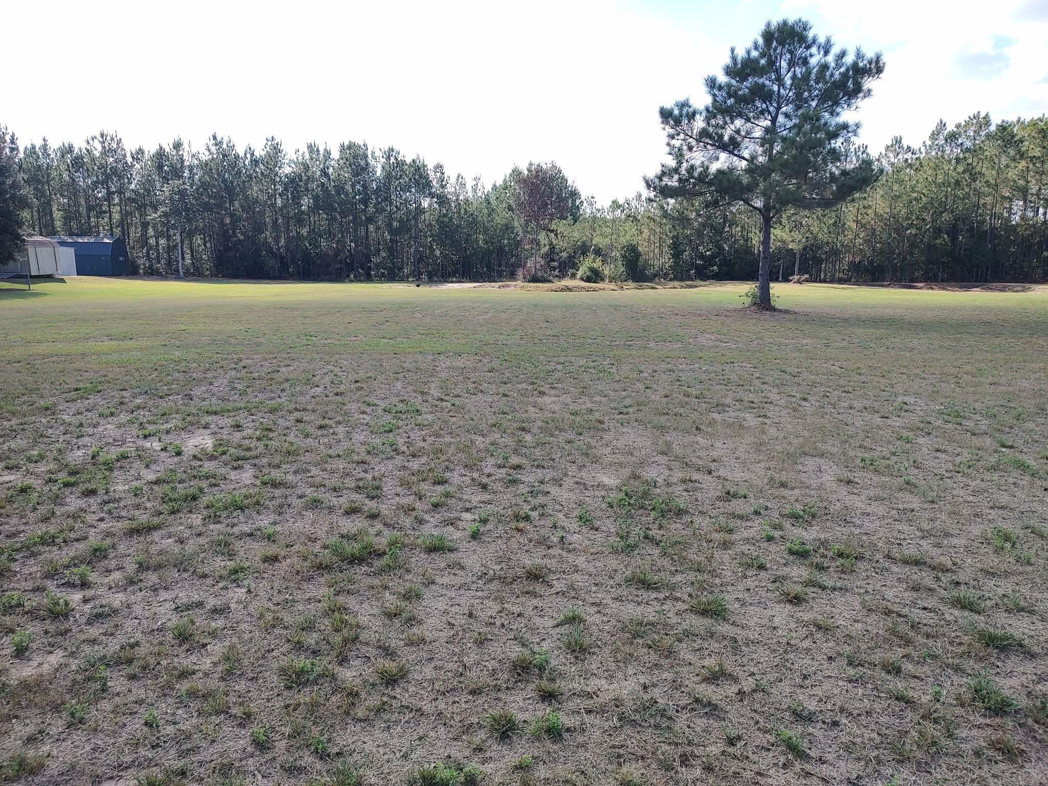 10019 Reed Ranch Road Silsbee, TX 77656 - Photo 2 of 6