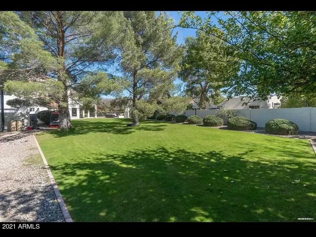 a view of a park with large trees