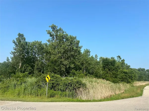 $25,000 | 0 Farwell Street, New Baltimore, MI 48047