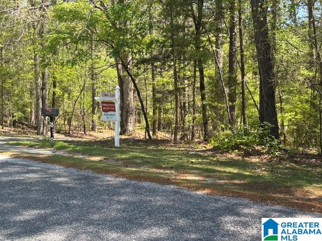 849 Cornelia Road Brierfield, AL 35035 - Photo 4 of 34