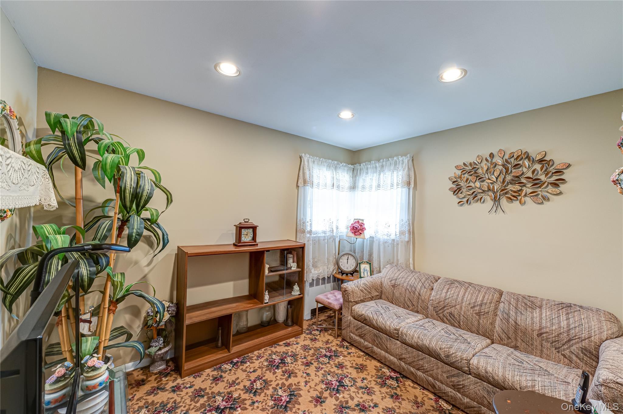23 Olga Lane Commack, NY 11725 - Photo 11 of 17 a living room with furniture and a potted plant