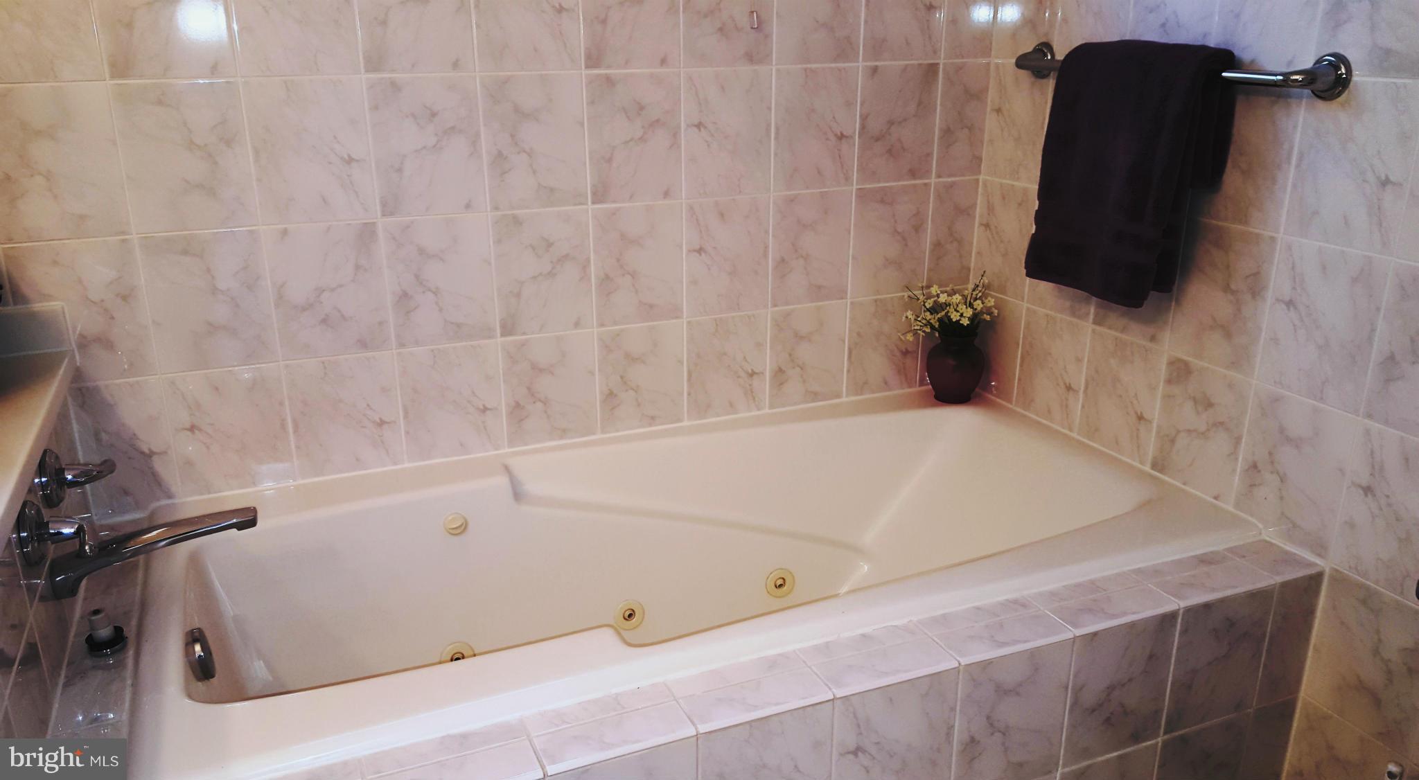 1745 Glastonberry Road Rockville, MD 20854 - Photo 19 of 25 Bath (Master)