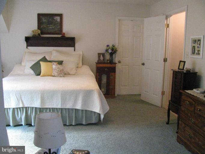 13648 Orchard Ridge Road Hancock, MD 21750 - Photo 15 of 30 Master Bedroom