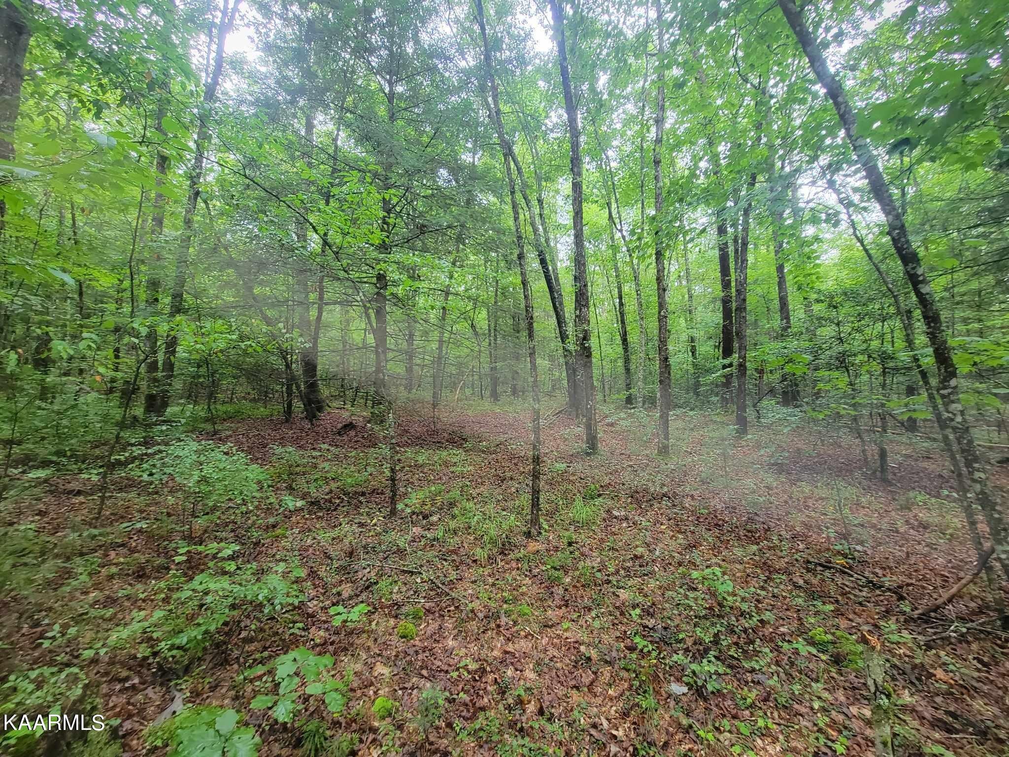 0 40 Model Farm Road Jamestown, TN 38556 - Photo 42 of 59