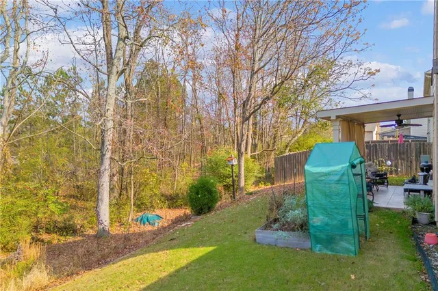 a view of a garden with plants