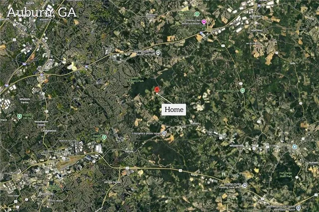 a view of a tree with a tree