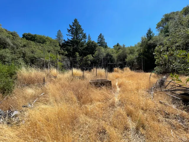 a view of outdoor space and trees all around