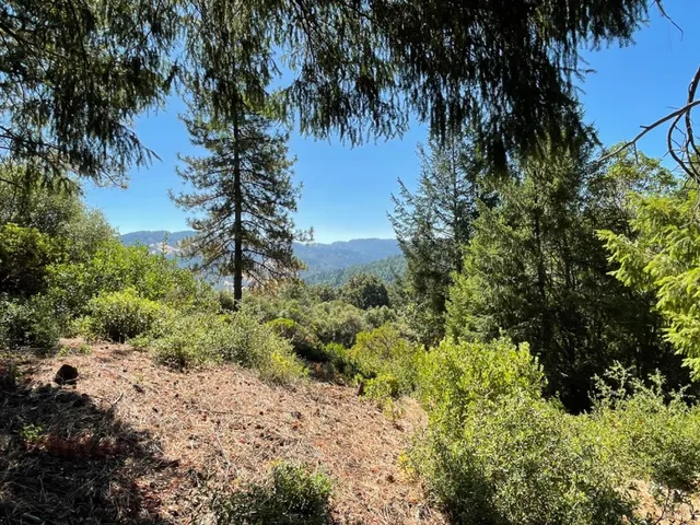 a view of outdoor space with trees
