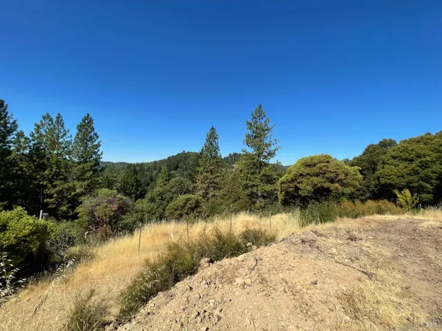 a view of a lake with a mountain in the background