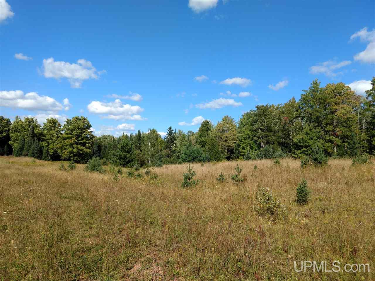 13335 Cadeau Road Baraga, MI 49908 - Photo 3 of 24 Gallery Image 3