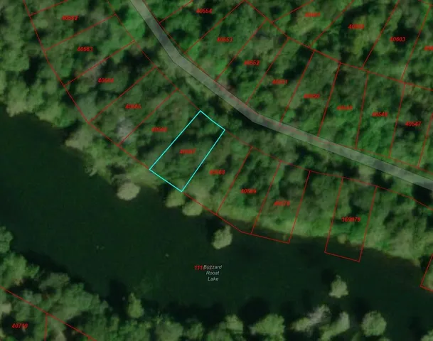 a view of a small yard