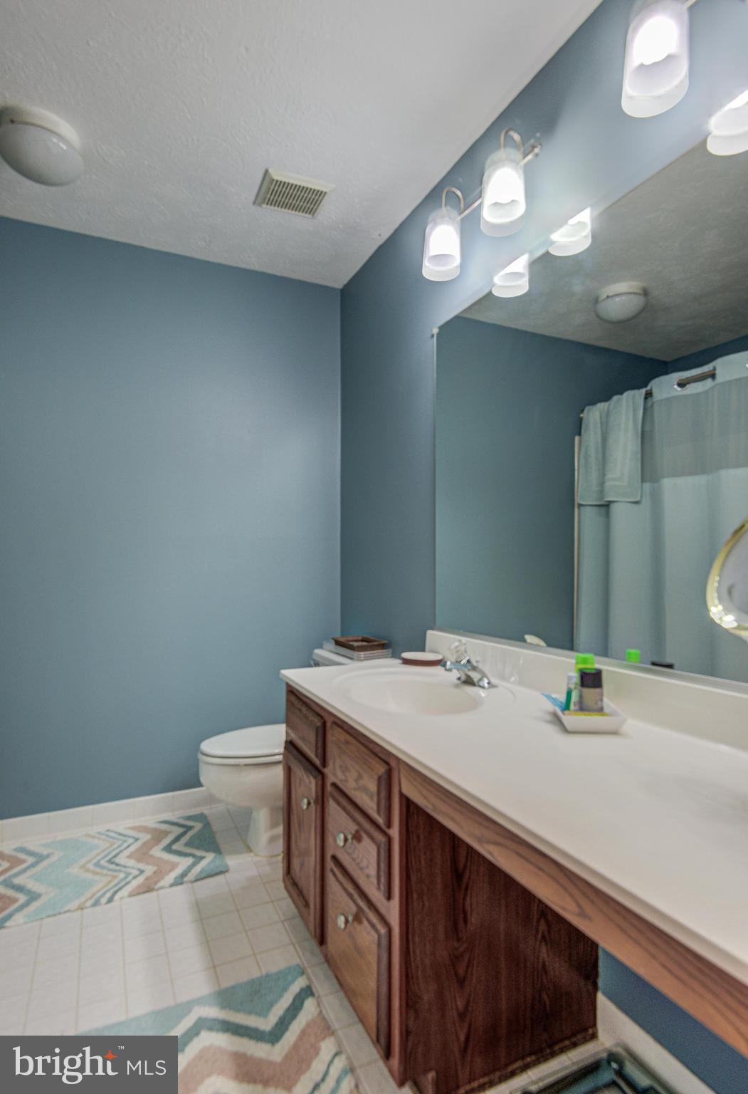 313 Belltown Road Owings Mills, MD 21117 - Photo 38 of 52 Gallery Image 38