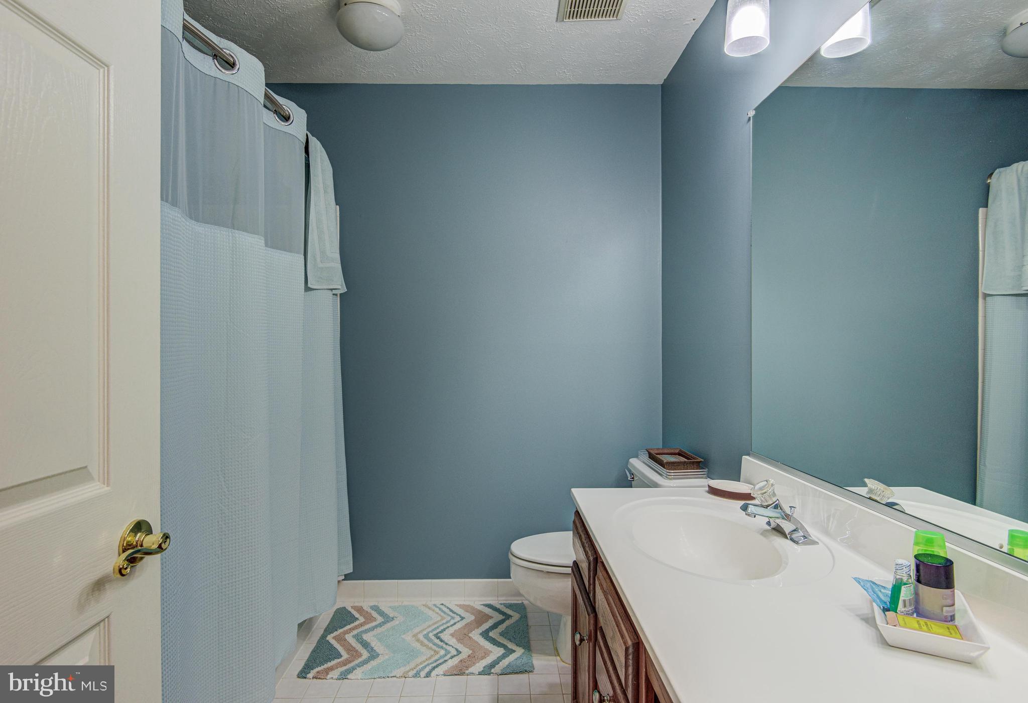 313 Belltown Road Owings Mills, MD 21117 - Photo 39 of 52 Gallery Image 39