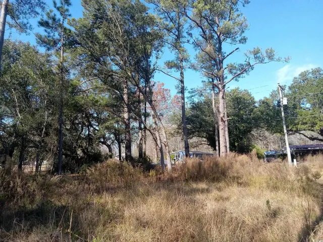 $34,900 | 3800 Kickapoo Drive, Green Sea, SC 29545