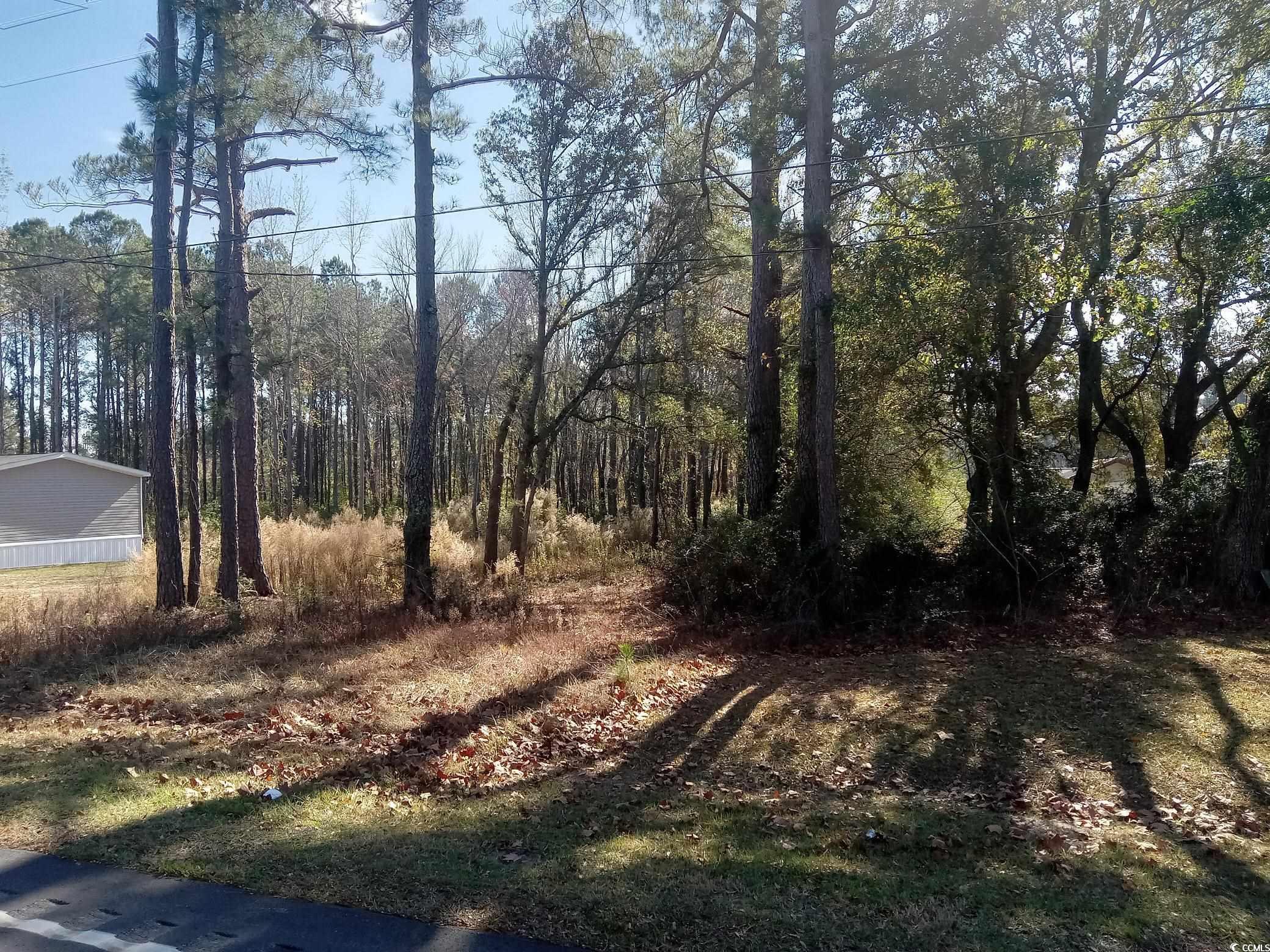 3800 Kickapoo Drive Green Sea, SC 29545 - Photo 3 of 4 View of yard with a view of trees
