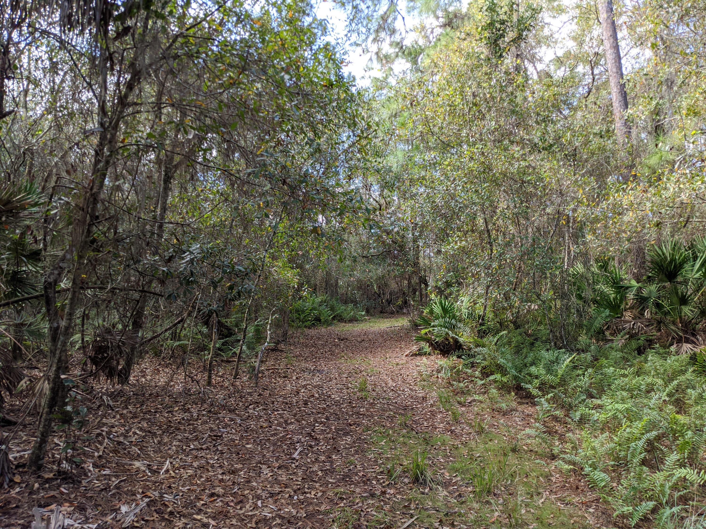 7851 Southwest Fox Brown Road Indiantown, FL 34956 - Photo 30 of 67 IMG_20210109_113641