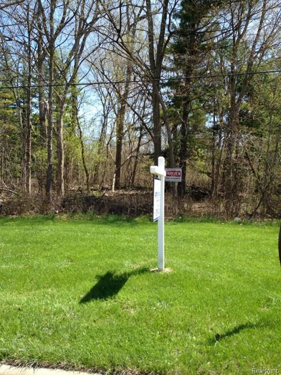 Vac Olmstead Road Rockwood, MI 48173 - Photo 1 of 3