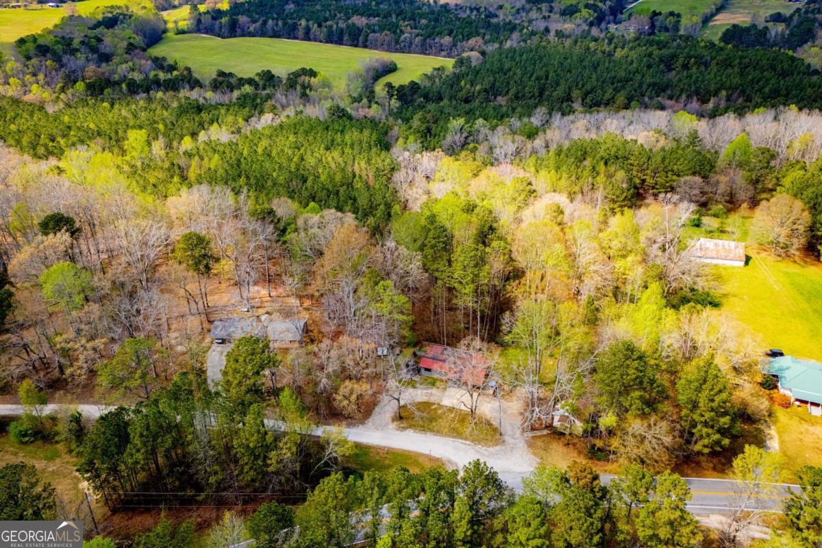 336 Posey Road Bremen, GA 30110 - Photo 8 of 24