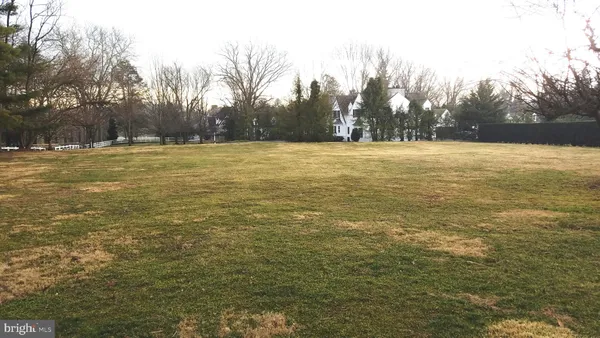 a view of yard with trees