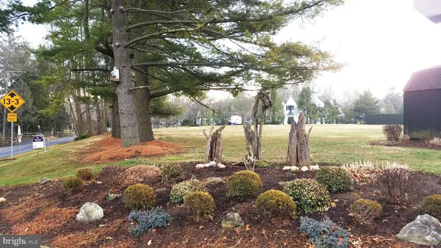 a view of a yard with a tree