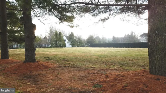 a view of an ocean with a tree