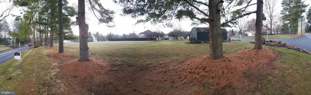 a view of a yard with trees
