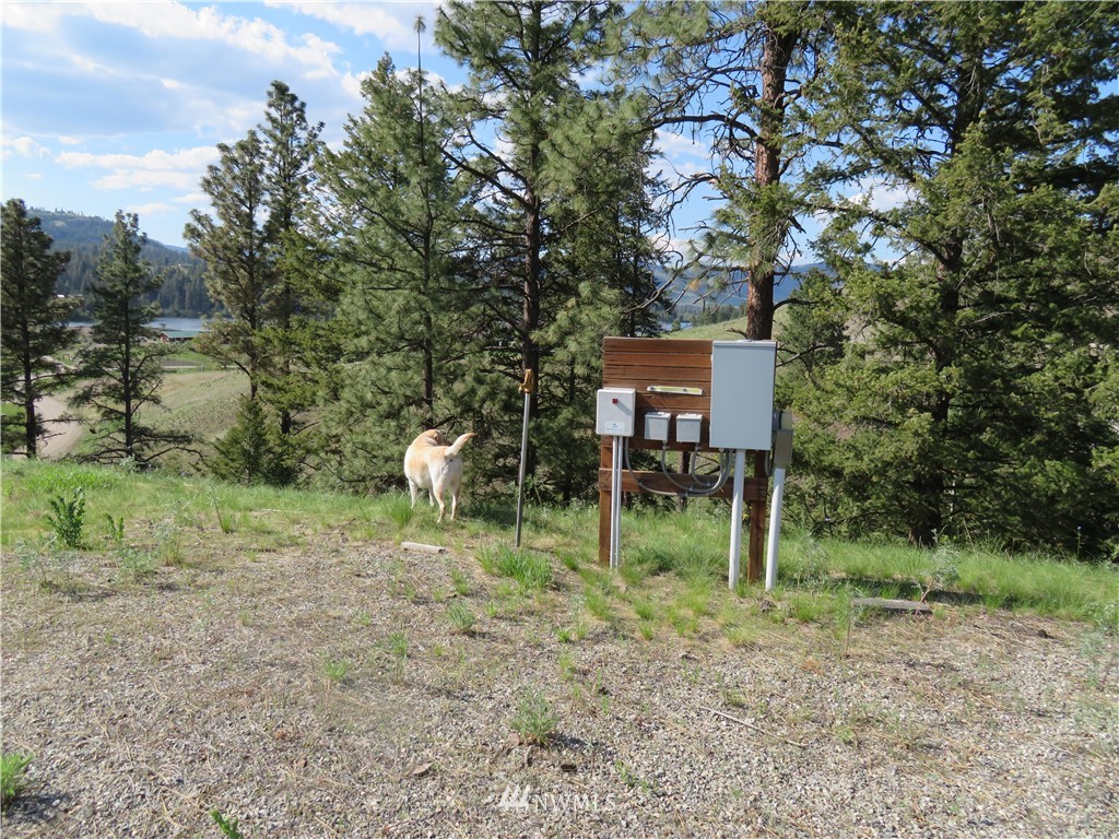 44 A Heron Loop Road Republic, WA 99166 - Photo 6 of 7 Gallery Image 6